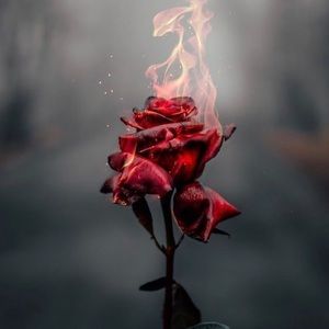 Meet your Posher, Nichole